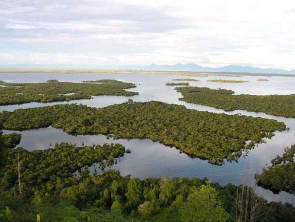 Национальный парк Данау Сентарум